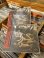 画像2: PALEHORSE - No Longer Secrets [CD] (2)
