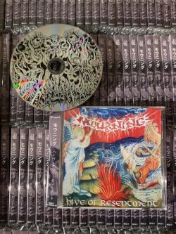 画像4: [先行予約商品] DOMAIN - Philosophy Of The Blade [CD]