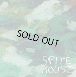 画像1: SPITE HOUSE - S/T (Spring Green in Cloudy Clear) [LP]