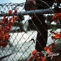 画像1: CLIQUE - In Lives That Won't Last [LP]