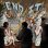 画像1: [先行予約商品] END IT - Wrong Side Of Heaven [CD] (1)