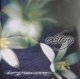 DESTINY - Diving Into Eternity [CD] (USED)