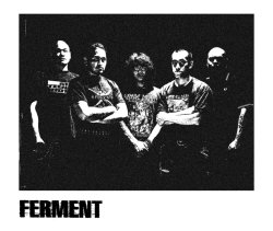 画像2: FERMENT - S/T (通常盤 / Delux盤) [CD]