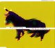 THE PROMISE RING - The Horse Latitudes [CD] (USED)