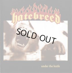 画像1: HATEBREED - Under The Knife [CD]