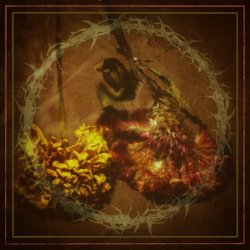 画像1: FIRE IN THE BLOOD - This Place Is Barren [CD]