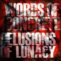 画像1: DELUSIONS OF LUNACY / WORDS OF CONCRETE - New Kidz On The Block [CD]