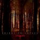 BRIDGE TO SOLACE - Where Nightmares And Dreams Unite [CD]