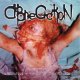 ABNEGATION - Verses Of The Bleeding [CD]