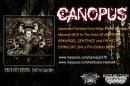 画像: ラストストック再入荷＆CANOPUS - Endless Sacrifice is Ready