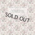 画像: VIENTOS - Todos Los Momentos Incendiados [CD]