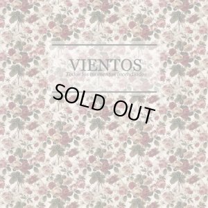 画像1: VIENTOS - Todos Los Momentos Incendiados [CD]