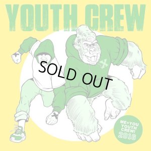 画像1: VARIOUS ARTISTS - Youth Crew 2016 限定黒盤 [EP]