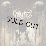 画像: CARNIFEX - Until I Feel Nothing [CD]