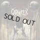 画像: CARNIFEX - Until I Feel Nothing [CD]