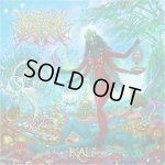 画像: IN PRISM - Kali [CD]