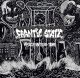 画像: FRANTIC STATE - Piece In Our Time [CD]