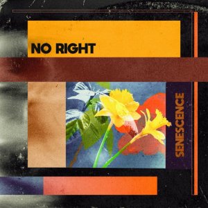 画像1: NO RIGHT - Senescence [CD]