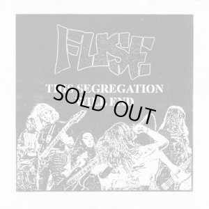 画像1: FUSE - This Segregation Will End [LP]