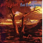 画像: POLYGLOT / FALL FROM GRACE - Split [EP] (USED)