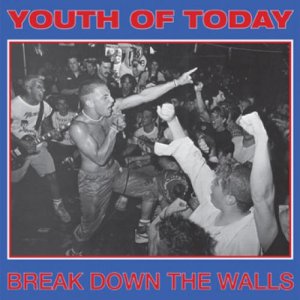 画像1: YOUTH OF TODAY - Break Down The Walls [LP]