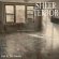 画像1: SHEER TERROR - Pall In The Family [CD]