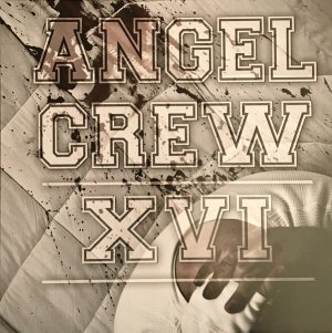 画像1: ANGEL CREW - XVI [CD]