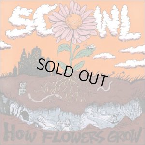 画像1: SCOWL - How Flowers Grow [CD]