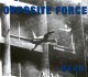 画像: OPPOSITE FORCE - Near Ltd [CD] (USED)