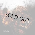 画像: VEIN.FM - This World Is Going To Ruin You (Clear w/ Black Smoke & Green Splatter) [LP]