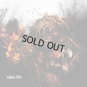 画像1: VEIN.FM - This World Is Going To Ruin You [CD]