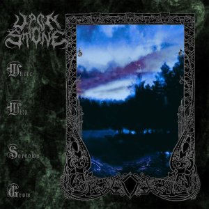 画像1: UPON STONE - Where Wild Sorrows Grow [LP]