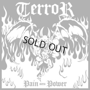 画像1: TERROR - Pain Into Power [CD]