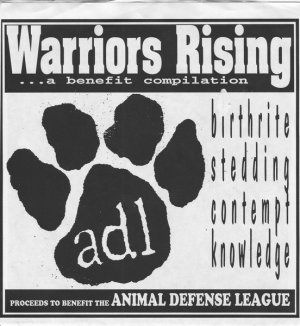 画像1: VARIOUS ARTISTS - Warriors Rising..A Benefit Compilation [EP] (USED)