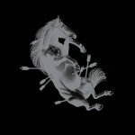 画像: TOUCHE AMORE - Dead Horse X (Clear w/ Black Smoke) [LP]