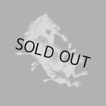 画像: TOUCHE AMORE - Dead Horse X (Clear w/ Black Smoke) [LP]