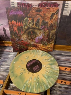 画像2: SPINEBREAKER - Cavern Of Inoculated Cognition (Ltd.Green/Yellow Swirl w/ Splatter) [LP]