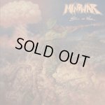 画像: MINDWAR - Still At War (Splatter) [LP]