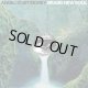 画像: ANGEL DU$T - Brand New Soul [CD]