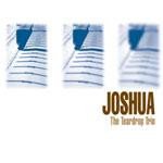 画像: JOSHUA - The Teardrop Trio [CD] (USED)