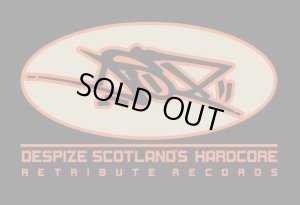 画像3: DESPIZE - Scotland's Hardcore + DSZ Tシャツコンボ [CD+Tシャツ / Tシャツ]