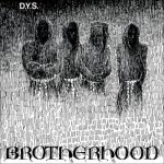 画像: DYS - Brotherhood [LP]