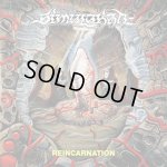 画像: SIMULAKRA - Reincarnation (Mint Green) [LP]