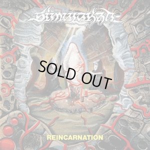 画像1: SIMULAKRA - Reincarnation (Mint Green) [LP]
