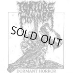 画像: TORTURE HAMMER - Dormant Horror (Ltd. White Vinyl w/ Blood Red Splatter) [EP]