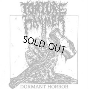 画像1: TORTURE HAMMER - Dormant Horror (Ltd. White Vinyl w/ Blood Red Splatter) [EP]