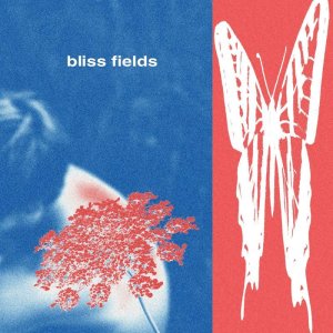 画像1: BLISS FIELDS - S/T [CD]