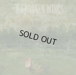 画像1: ON BROKEN WINGS - Going Down [CD]