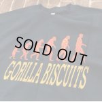 画像: [Lサイズラス1] GORILLA BISCUITS - Start Today Tシャツ (Navy)  [Tシャツ]