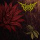 画像: FLIORA - Welcome the Blossom [CD]